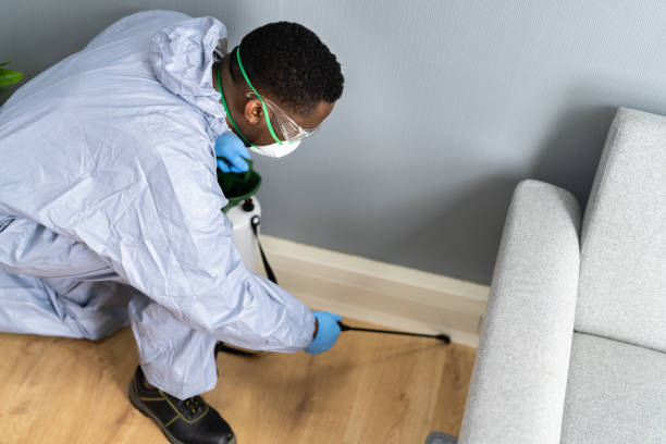 Best Bed Bug Extermination  in Lavon, TX